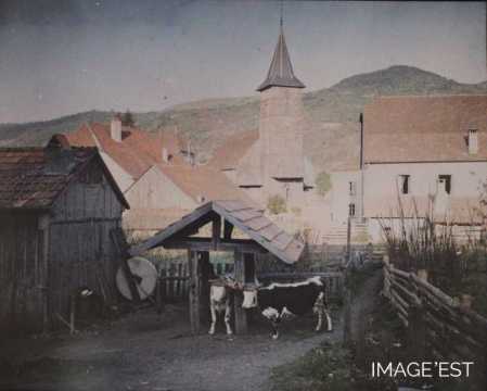 Village rural (Meurthe-et-Moselle ?)